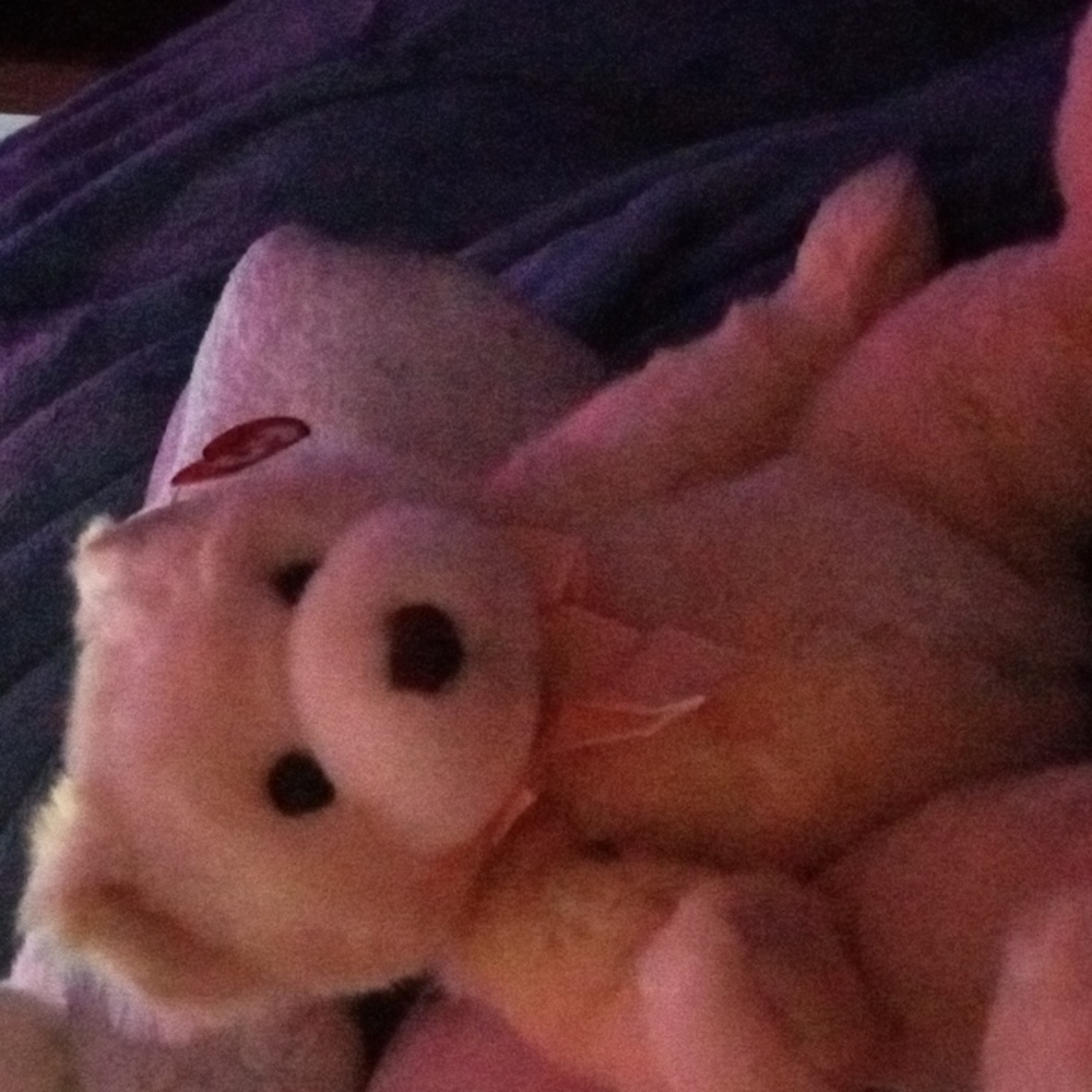 Ty beanie baby gloria